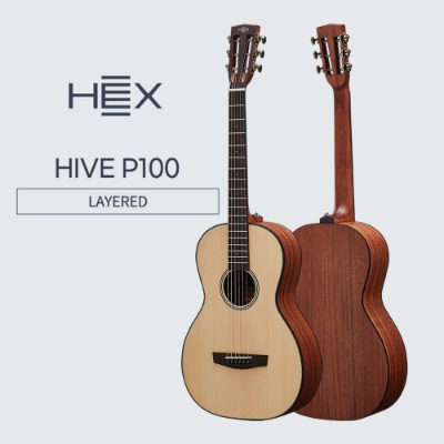 HEX 헥스 HIVE P100 어쿠스틱 통기타