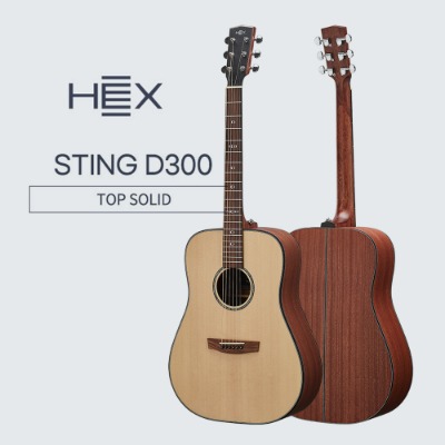 HEX 어쿠스틱기타 STING Series D300