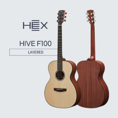 HEX 헥스 하이브 F100 어쿠스틱 통기타