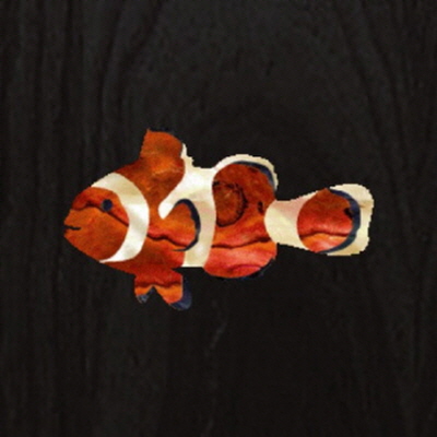 인레이스티커 Clownfish #154 [Ukulele Headstock] 