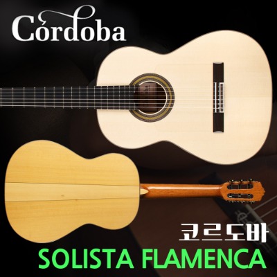 코르도바 cordoba Solista Flamenca