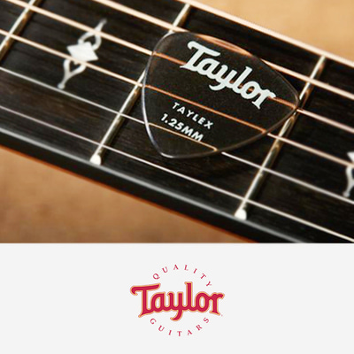 테일러 피크 346 테일렉스 6개 1.25mm Premium Taylex Guitar Picks